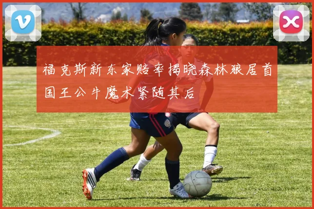 福克斯新东家赔率揭晓森林狼居首国王公牛魔术紧随其后