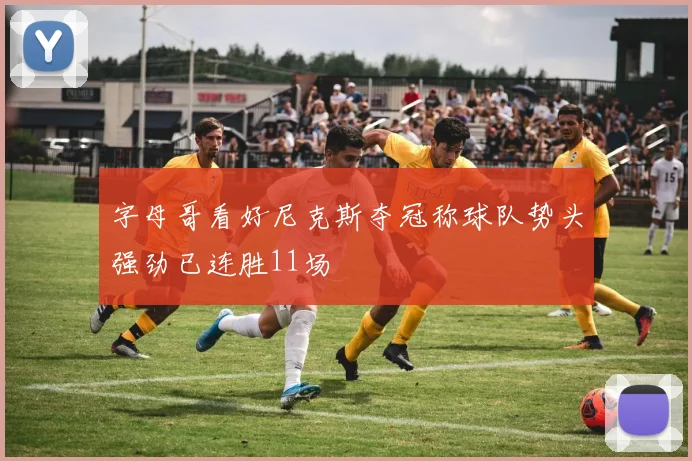 字母哥看好尼克斯夺冠称球队势头强劲已连胜11场